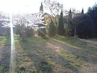 2009/4/3☆日の出