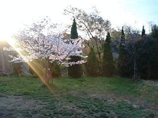 2009/4/4☆日の出