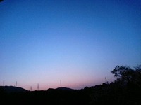 2009/4/9★夜明け♪ 2009/05/14 16:05:46