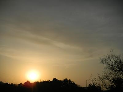 2010/3/1★いよいよ３月ですね！