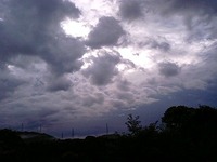 蝉と日の出！ 2009/07/22 08:29:07