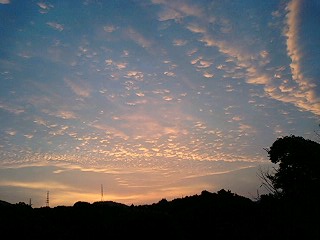 同じ空の下☆5:42am!!