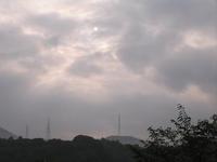 雨上がりの朝☆太陽♪ 2008/08/19 06:57:32