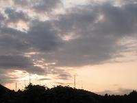 虫の音が、静かに響き渡る朝♪ 2008/08/22 06:36:00