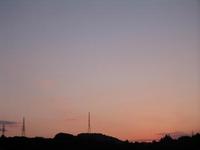 収穫の秋♪ 2008/10/16 07:04:43