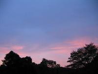 一瞬♪ 2008/10/25 06:39:01