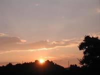 秋の香り♪ 2008/11/01 06:59:36