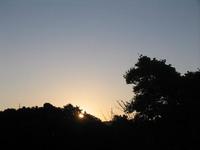 太陽が部屋の奥まで差し込みます♪ 2008/11/16 12:14:24