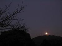 今日も月がキレイ☆11/13♪ 2008/11/16 12:11:24