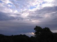 今は雨ですが。。。 2008/11/16 12:23:06
