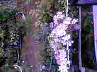 5月31日の記事 2006/05/31 22:59:00