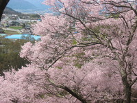 画像試行 2011/05/12 19:13:49