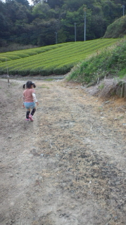 野山を散策!