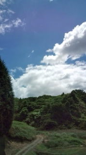 綺麗だね♪