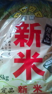 散歩へ