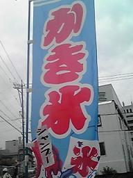 今年もやります!