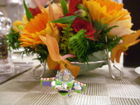 写真で投稿 2009/12/13 23:55:57
