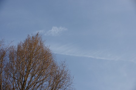 空