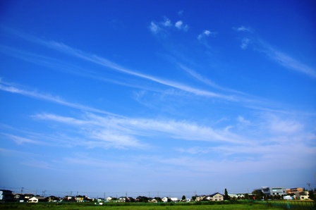 今朝の空