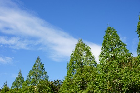 晴れ