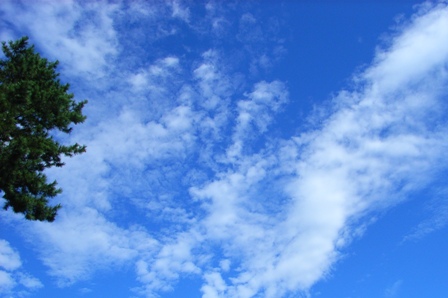 一回きりの空
