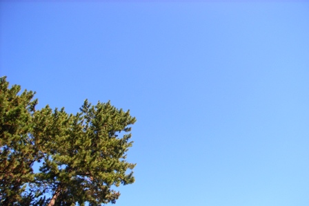 青空
