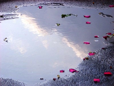 雨上がり