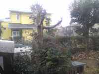 初雪 2010/12/31 15:40:33