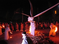 保泉寺の火祭り 2011/02/02 23:19:30