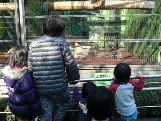 日本平動物園ﾘﾆｭｰｱﾙ