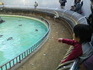 日本平動物園ﾘﾆｭｰｱﾙ