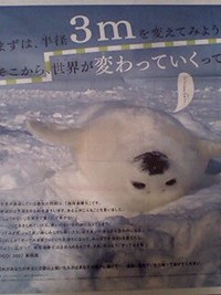 エコイベント！