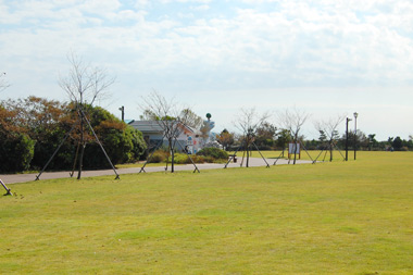 吉田公園クラフトフェア