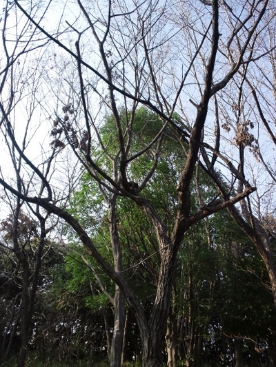 こういうこと言う経営者は気をつけましょう【就活】【転職】
