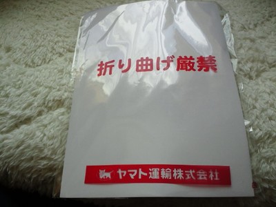 また　花粉症対策グッズ買ってみました【マスクシェル】