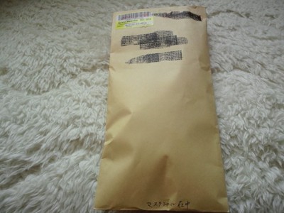 また　花粉症対策グッズ買ってみました【マスクシェル】