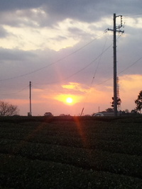 本日はFM　Haro!マラソン部の練習会(^O^)／ 2010/01/05 08:11:53