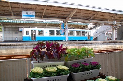伊野～須崎～窪川～江川崎～宇和島【２００８年１２月３１日】