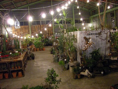 素敵な植物が沢山のｂoqさんへ【豊橋市曙町】