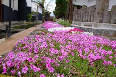 豊伸会・奥飛騨の旅終着【2009年4月21日・22日】