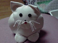 ねこまる♪♪ 2009/02/27 23:09:42