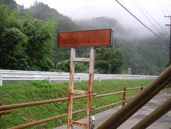 長雨の影響？