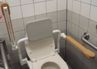 トイレに手すりと背もたれがあれば・・・