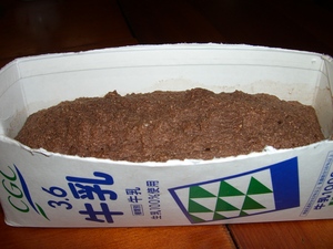 おからケーキⅡ
