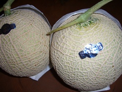 頂き物！