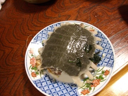 浜名湖のご馳走！