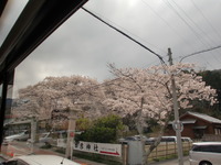 伊勢旅行！