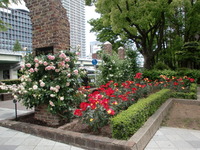 陶芸クラブの旅行！ 2010/05/19 20:24:52