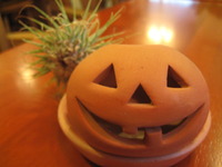 “ハロウィン”君のひとりごと♪