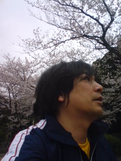 夜桜もええが朝桜もええで。